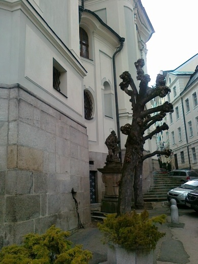 03_subdominantni_detail.jpg