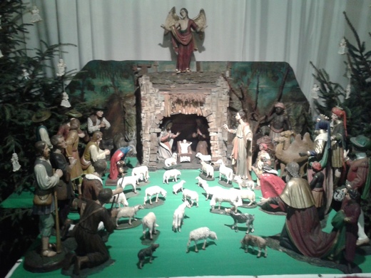 20150111_103224.jpg