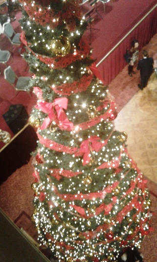 20171225_160446.jpg