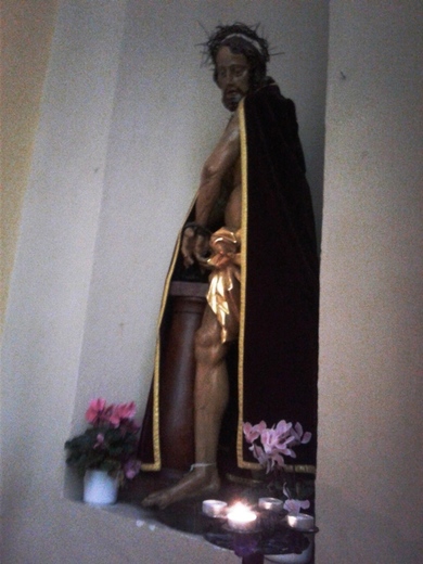 20190504_110234.jpg