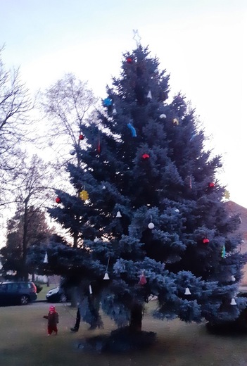 20221127_163118.jpg