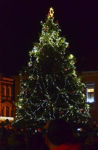 DSC_2635.jpg