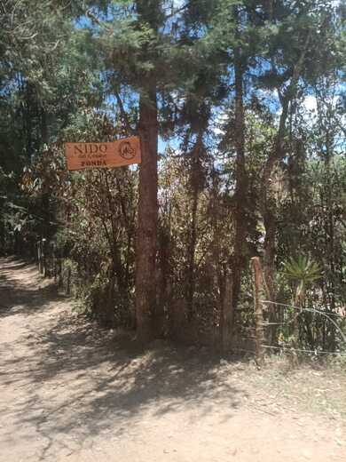IMG-20260909-WA0018.jpg